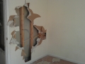 imag0415