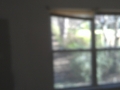imag0422